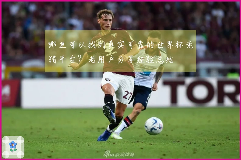 哪里可以找到真实可靠的世界杯竞猜平台？老用户分享经验总结