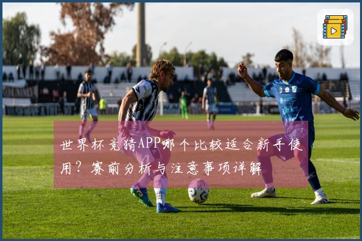 世界杯竞猜APP哪个比较适合新手使用？赛前分析与注意事项详解