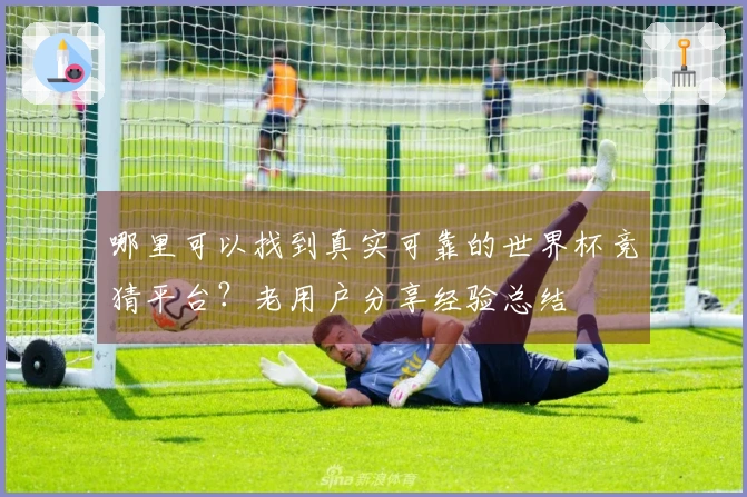哪里可以找到真实可靠的世界杯竞猜平台?老用户分享经验总结